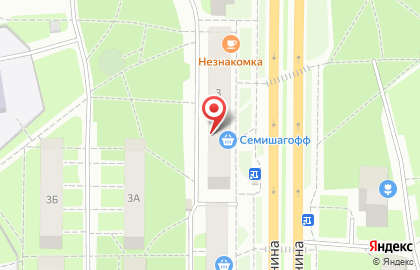 Незнакомка на проспекте Ленина на карте