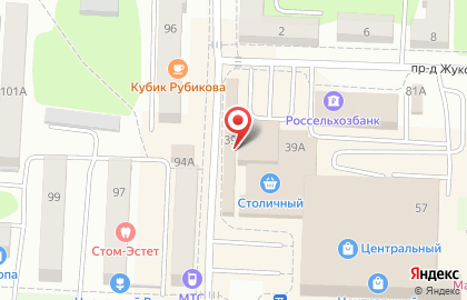 Зоомагазин Кот и Пес на Большевистской улице на карте