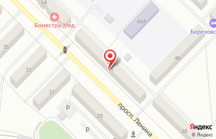 Магазин зоотоваров Мурзик на проспекте Ленина на карте