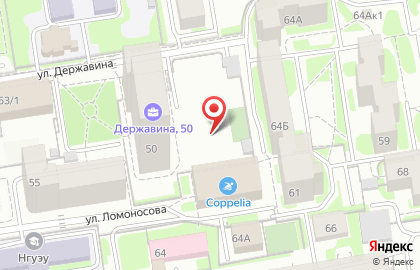Аудиторская фирма РосАудит-Новосибирск на карте