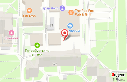 Киоск по ремонту обуви на Пулковском шоссе на карте