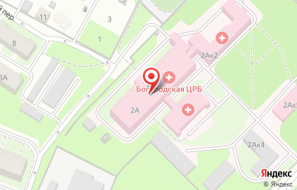 Богородская центральная районная больница в Полевом переулке на карте