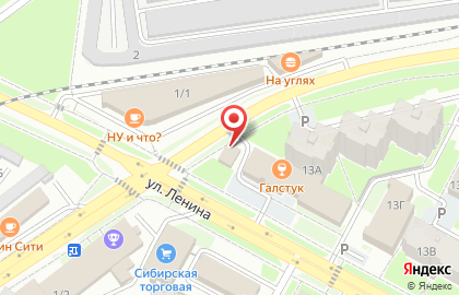 Алина на улице Ленина на карте