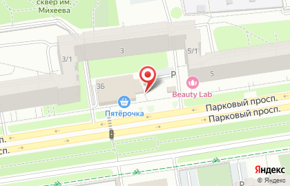 Шиномонтажная мастерская на Парковом проспекте на карте