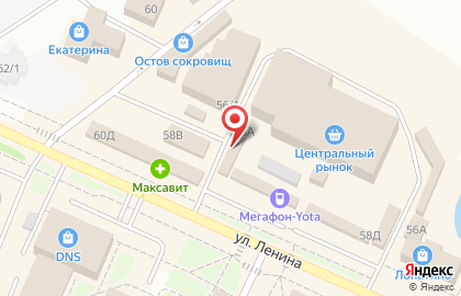 Мелочи жизни на улице Ленина на карте