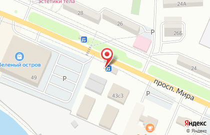 Цветочный салон Камелия во Владивостоке на карте