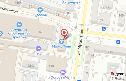 Альдикон в Благовещенске на карте