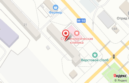 Тосненская центральная районная библиотека на карте
