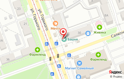 Сеть центров микрофинансирования Срочноденьги на улице Горького на карте