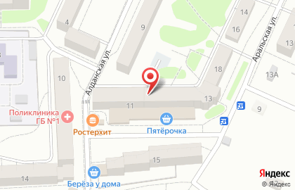 Магазин зоотоваров Багира в Центральном районе на карте