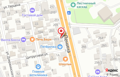 Магазин продуктов Фортуна на улице Ленина на карте