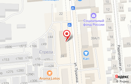 Салон бытовых услуг Лебедушка на улице Пушкина на карте