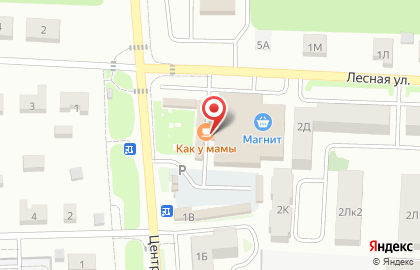 Торговый дом Центральный на Центральной улице на карте