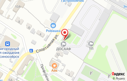 Автошкола ДОСААФ России на Спортивной улице на карте
