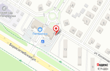 Зоомагазин Лучший Друг на улице Космонавта Леонова на карте