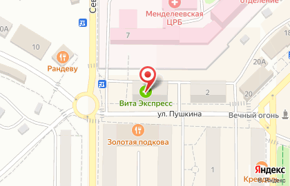 Аптека ВИТА Экспресс на улице Пушкина на карте