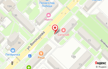 Парикмахерская Миледи на улице Винокурова на карте