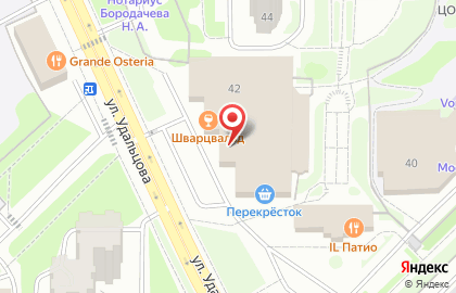Магазин ювелирных изделий Morion store на улице Удальцова на карте