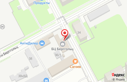 Шиномонтажная мастерская на улице Ольги Берггольц на карте