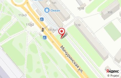Магазин мясных изделий Жупиков на Мичуринской улице, 141а к 2 на карте