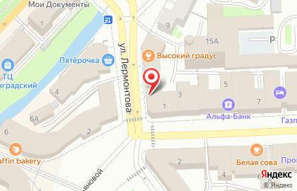 Карекс на улице Лермонтова на карте