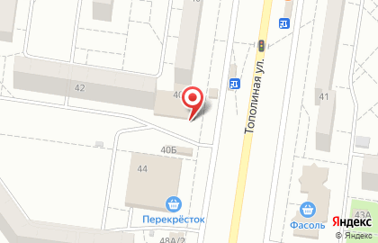 Магазин цветов в Тольятти на карте