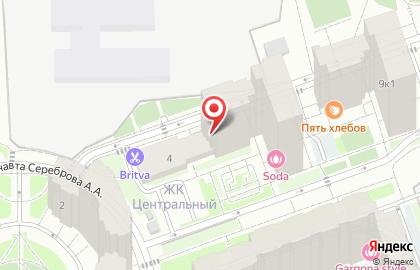 BRITVA Долгопрудный на карте