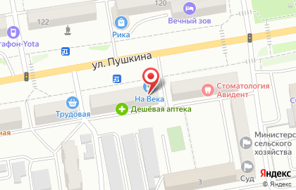 Торгово-монтажная компания На ВЕКА на улице Пушкина на карте