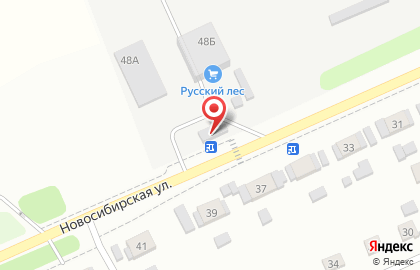 Добрыня на Новосибирской улице на карте