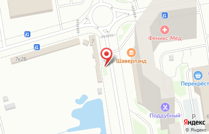 Зоомагазин Котопес на Новгородском проспекте на карте