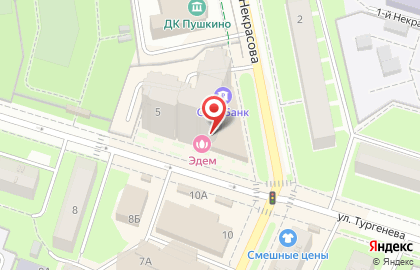 Учебный центр Годограф на улице Тургенева в Пушкино на карте