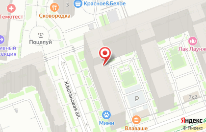 Ателье в Санкт-Петербурге на карте