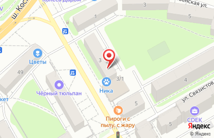Ветеринарная клиника Ника на улице Мильчакова на карте