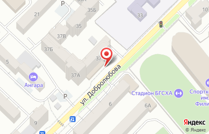 Аптека Ромашка на улице Добролюбова на карте