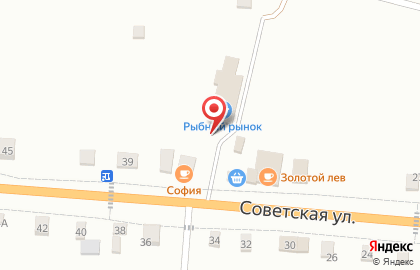 Киоск фастфудной продукции на Советской улице на карте