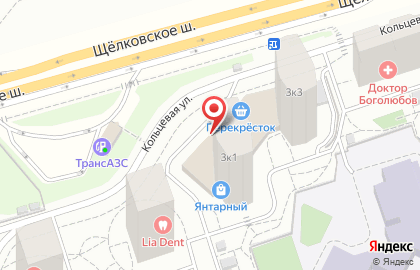 Зоомагазин Рыжий хвост на Кольцевой улице на карте