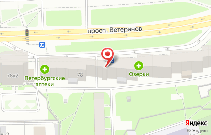 Продовольственный магазин на проспекте Ветеранов на карте