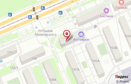 Slon на карте
