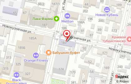Продовольственный магазин на улице Леваневского на карте