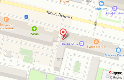 Зоомагазин Фауна на проспекте Ленина на карте