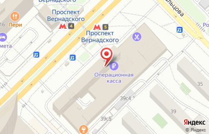 Уничтожение насекомых и грызунов на проспекте Вернадского на карте
