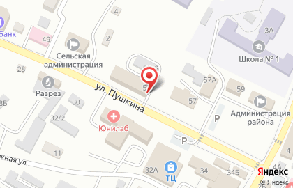 Типография Спектр-а на улице Пушкина на карте