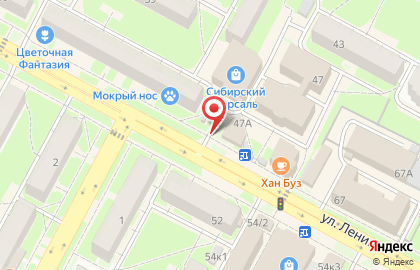 Центр выдачи займов УК Деньги сразу на улице Ленина на карте