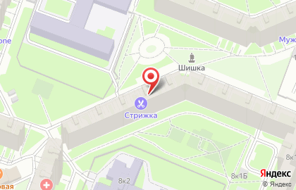 Студия маникюра и педикюра Velary в Выборгском районе на карте
