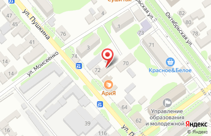 Центр финансовой поддержки Ломбардный дом на улице Пушкина на карте