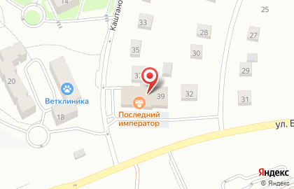 Зоомагазин Пушистик на Каштановой улице на карте