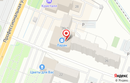 Автошкола Автолицей Калита+ на Профессиональной улице, 26 к 1 в Дмитрове на карте