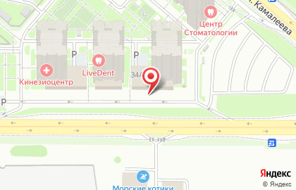 Банкетный зал Онегин на проспекте Альберта Камалеева на карте