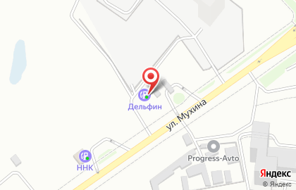 Дельфин в Благовещенске на карте