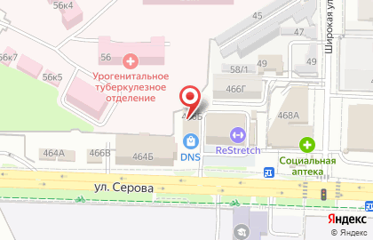 Панда на улице Серова на карте